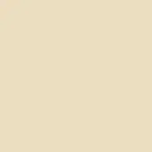Pale beige matte surface with subtle tonal variations, seamless background, and diffused lighting creating a uniform, neutral composition.